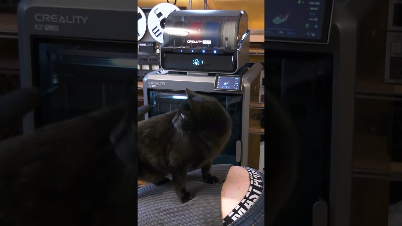 Non sono riuscito a stampare il gatto #mvvblog #3dprinting #fail