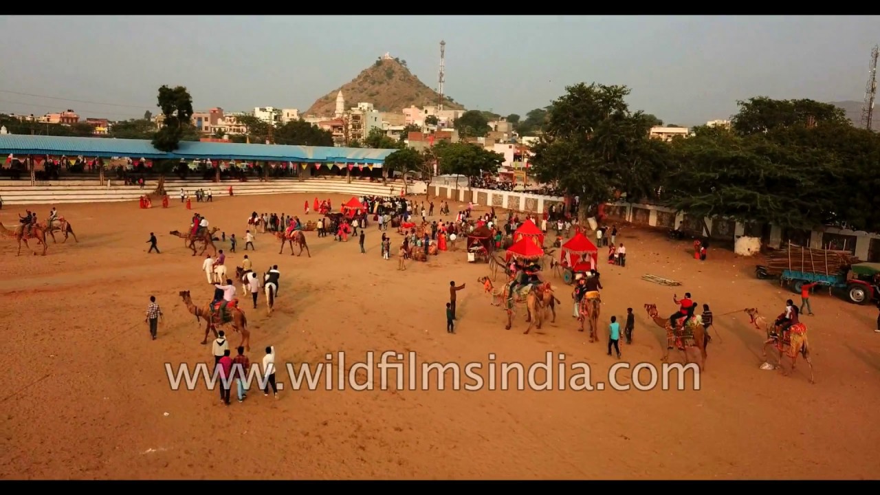 Rajasthan's famous Pushkar Camel Fair as seen from the sky