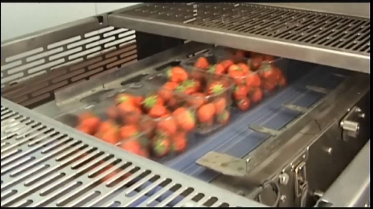 Strawberry Packing Line - Packaging Automation SL6 Tray Sealing Machine
