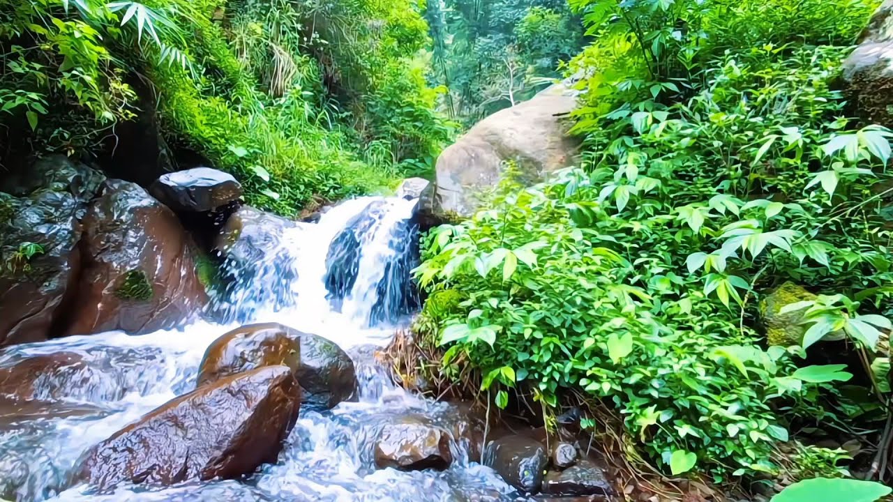 Peaceful River Ambience for Deep Calm
