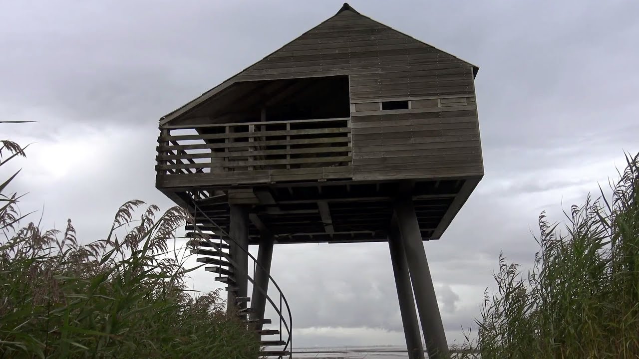 Vogelkijkhut de KIEKKAASTE // Nieuwe Statenzijl // The Netherlands | 4K