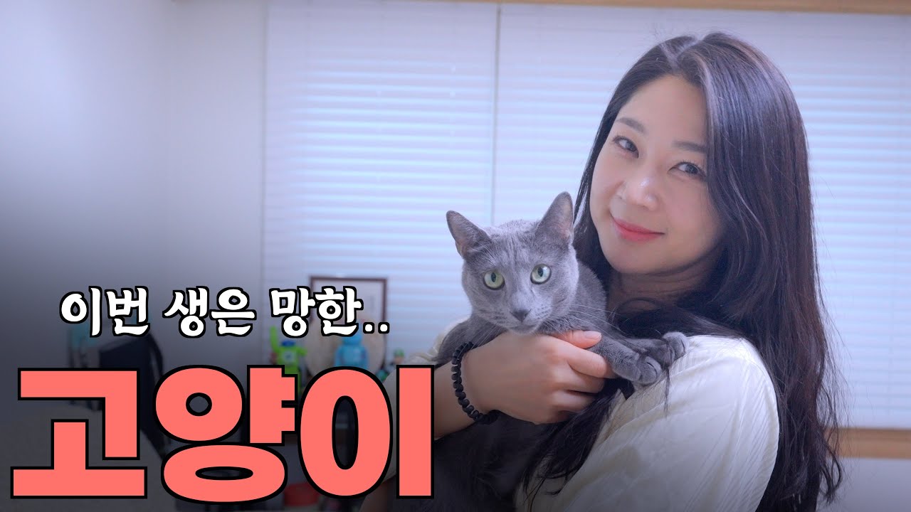 분양 와보니.. 집사가 만렙이였다
