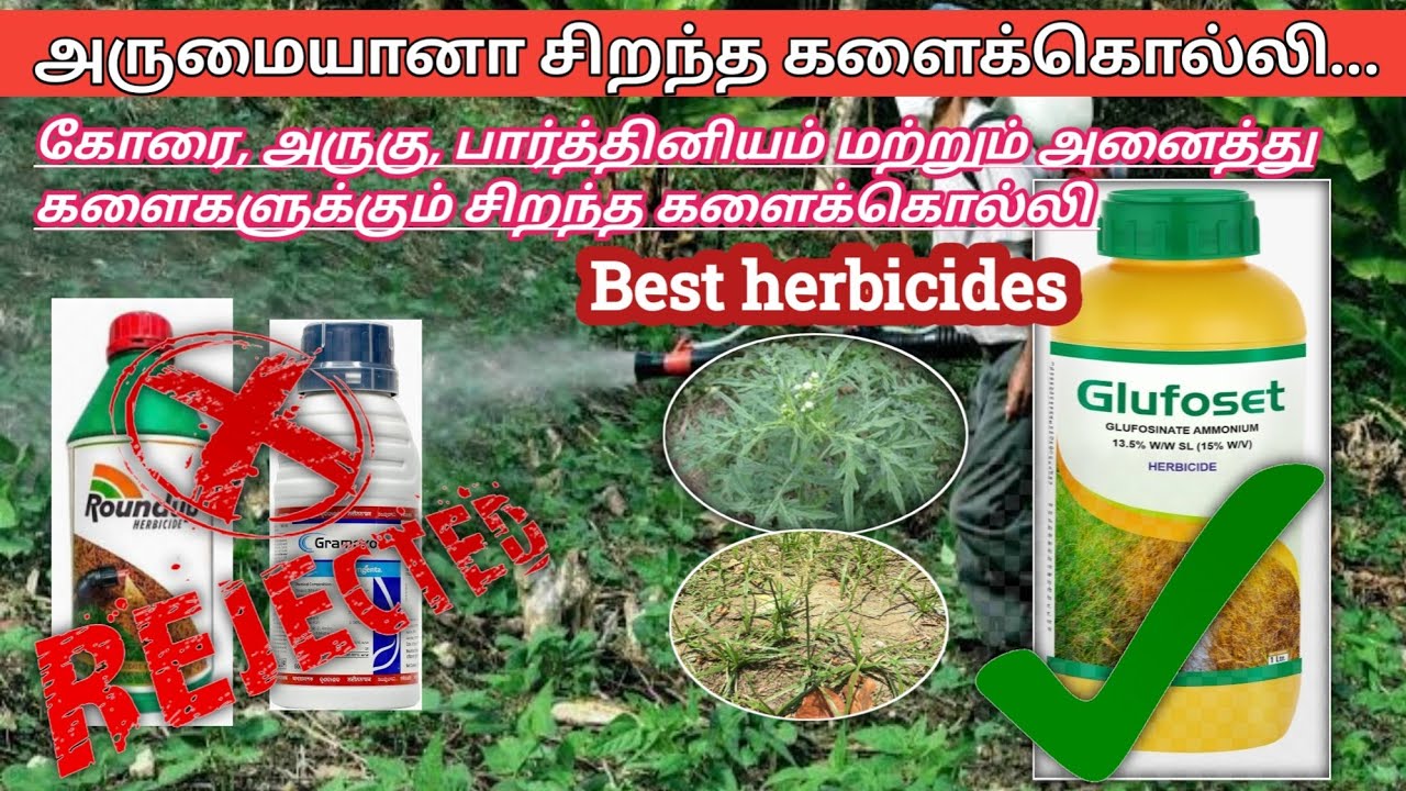 மண் வளம் கெடமல் அனைத்து களைகளையும் கட்டுப்படுத்தலாம் | Best herbicides 