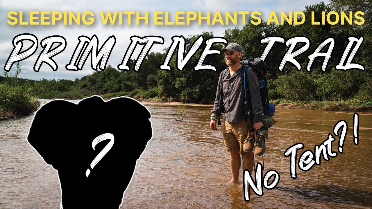 Sleeping With Elephants And Lions - Primitive Trail In The Greater Kruger