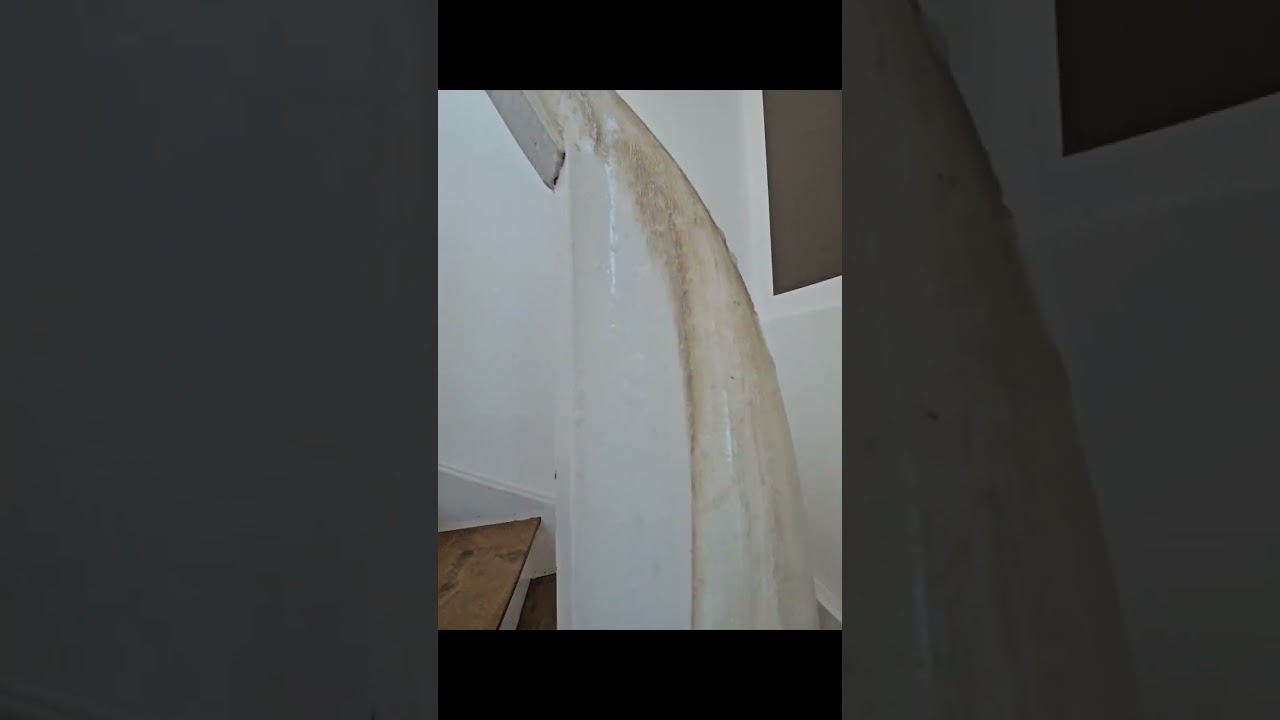Anwendung Allesk&ouml;nner mit Mikro Standard Handschuh von proWIN ♡