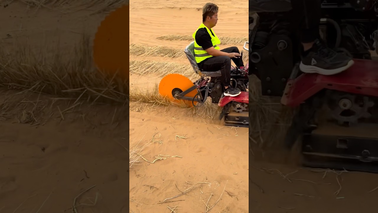 You need a mini tiller！#minitillers #tiller #agriculturelife #planting #madeinchina #foryoupage