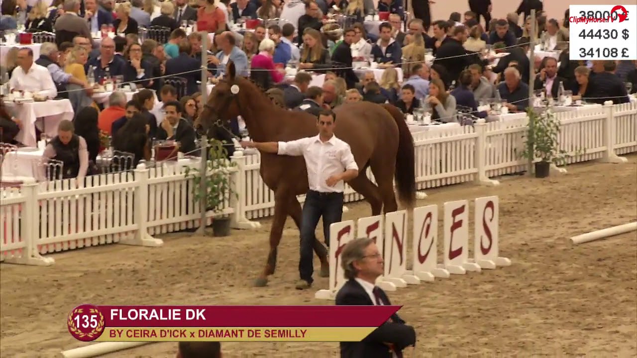 FLORALIE DK TOP PRICE VENTES FENCES 2018