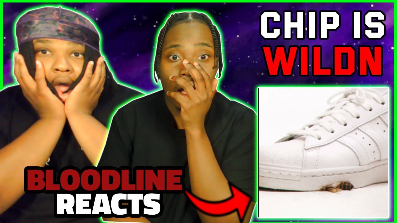 CHIP - BEEHAVE (VISUALISER) | BLOODLINE Reacts | THE VOICE NOTE IS CRAZYYYYY!!!