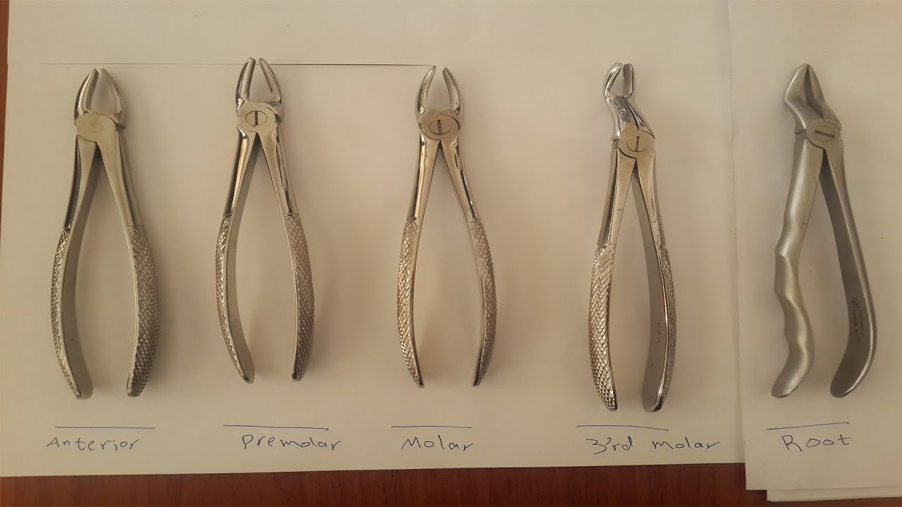 Oral surgery - Extraction/Surgical instruments