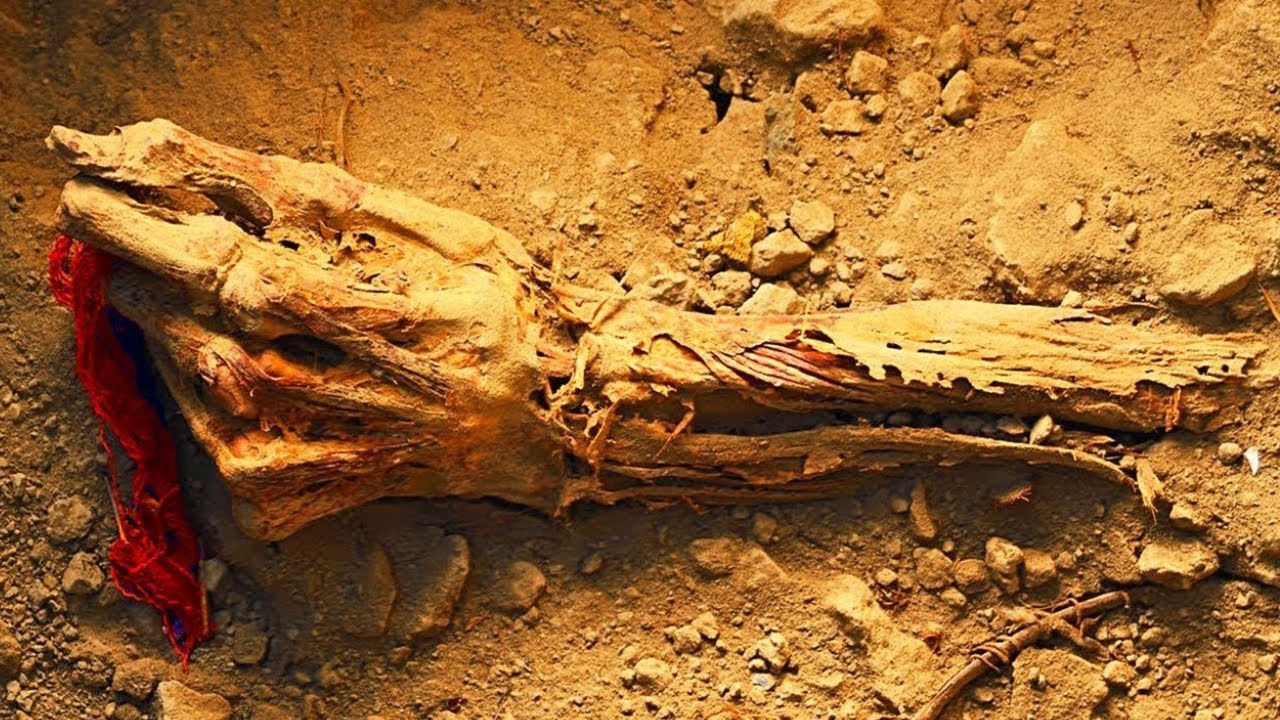 Dieser Fund hat Arch&auml;ologen weltweit schockiert!