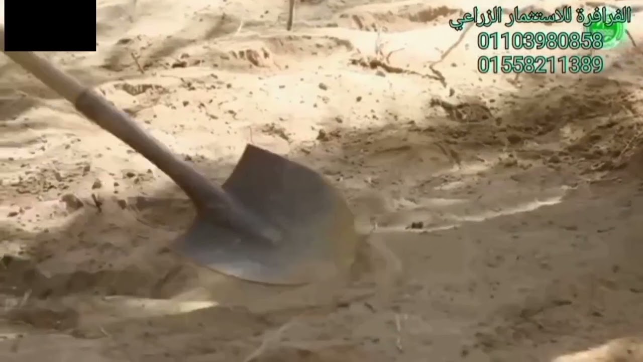 الري تحت السطحي ... البئر يروي حتى ٤٠٠ فدان ... و مميزات أخرى