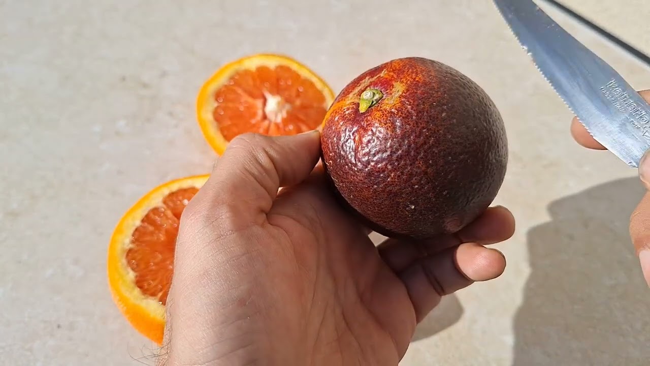 ONIX and CARA CARA: two very different orange varieties but with particular bloody colors!