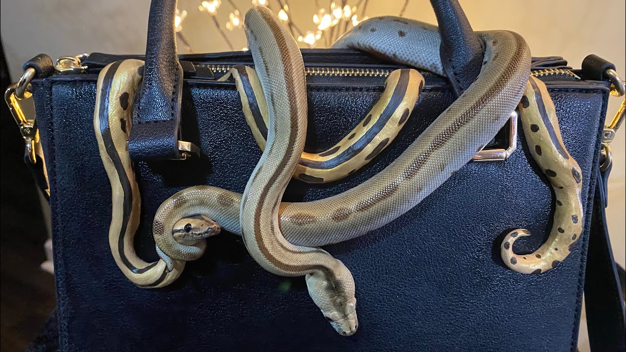 Custom snake sculpture