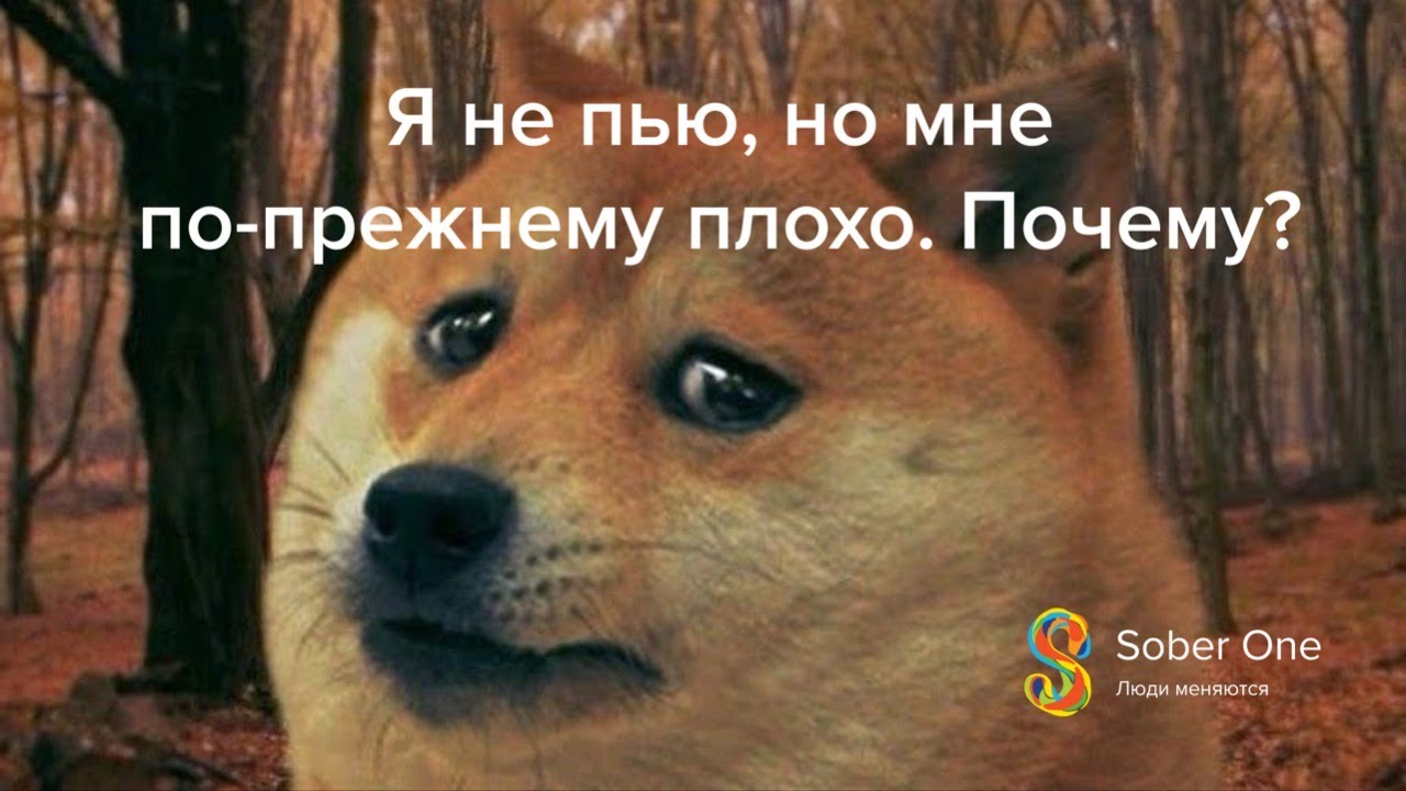 Я не пью, но мне все равно плохо: пост-абстинентный синдром