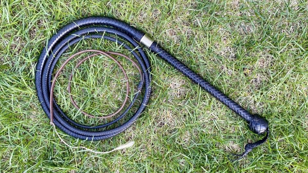 Anthony De Longis Target Bullwhip | Townsend Handcrafted Whips