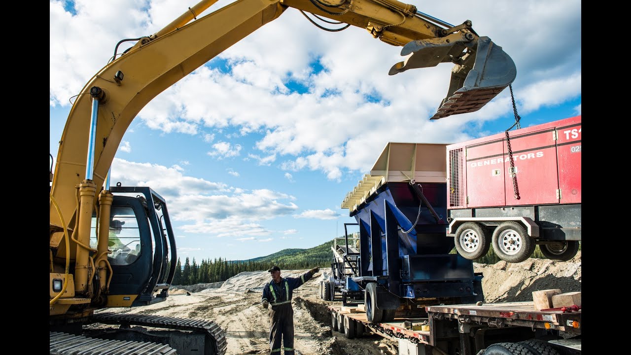 Yukon Gold - Heavy Equipment Dosey Doe