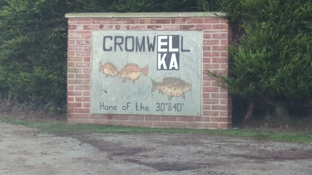 ОСЕННЯЯ ЛОВЛЯ КАРПОВ на озере Кромвель! 🎣 Встреча с друзьями: поймайте ещё больше карпов