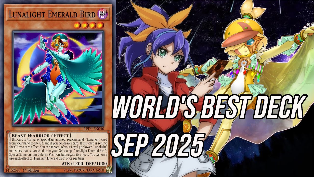 LUNALIGHT'S BEST IN THE WORLD | MDPro3