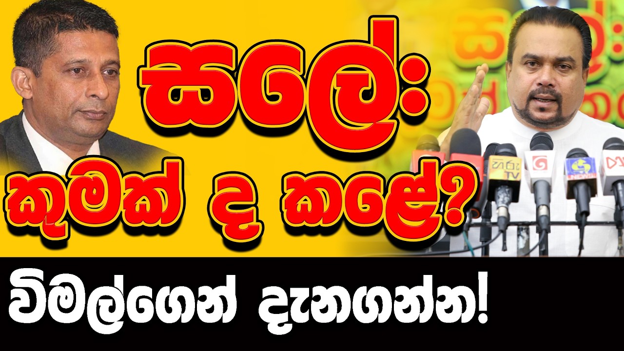 සලේ : කුමක්ද කළේ - විමල්ගෙන් දැනගන්න!
