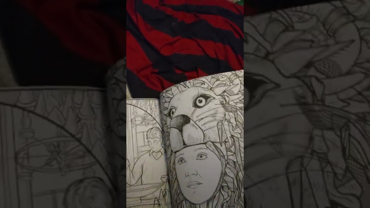 My Harry Potter: Coloring Wizardry coloring book.