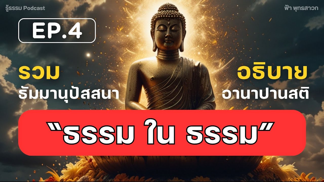 EP.4 รวมอธิบาย การตามเห็น 
