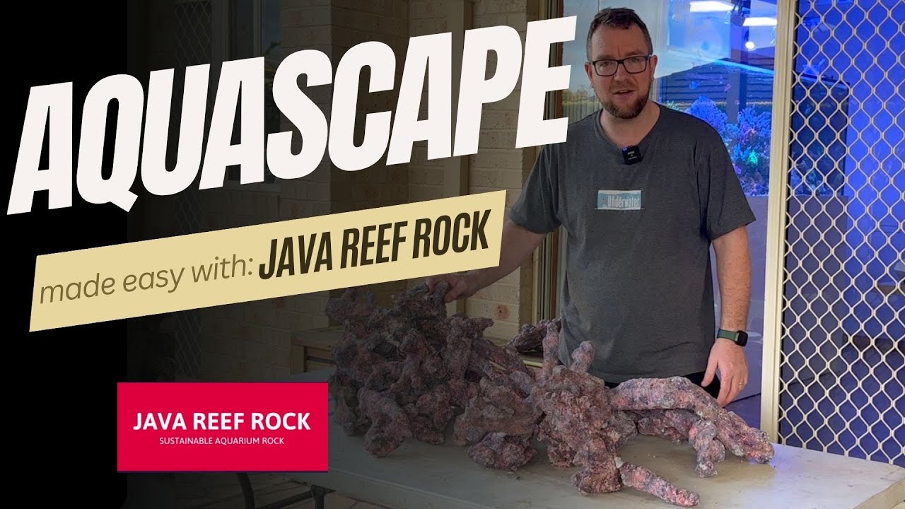 I Made A Peninsula Style Aquascape With Java Reef Rock!