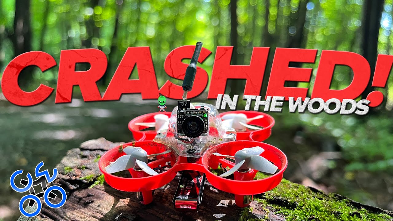 I crashed in the woods