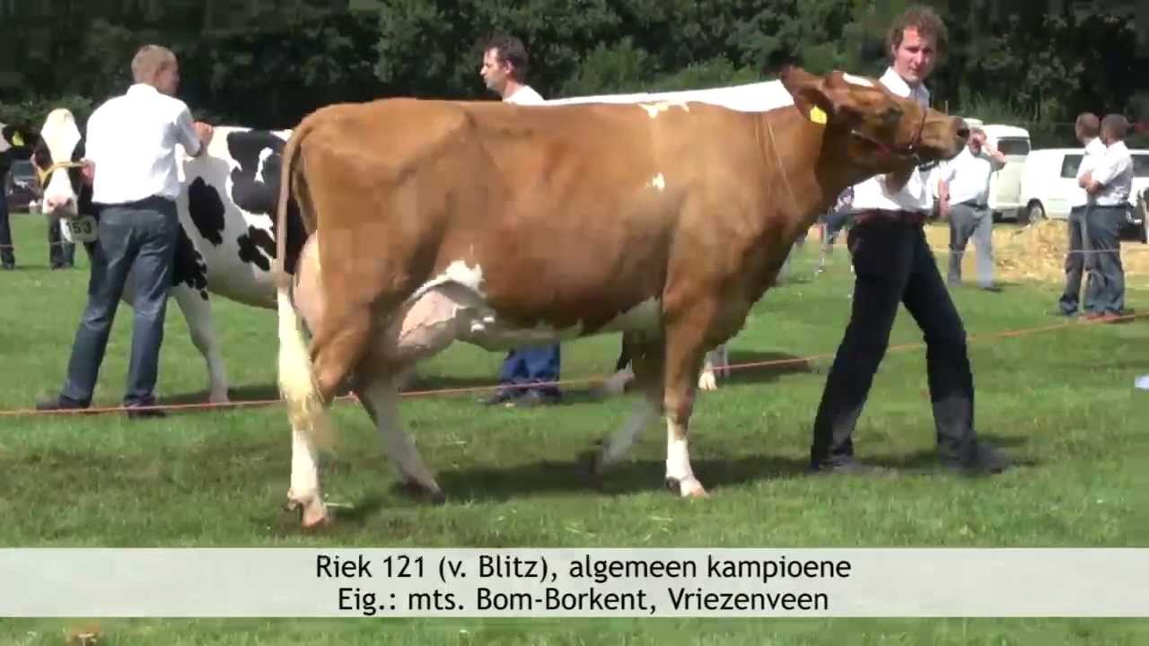 Fokveedag Vriezenveen