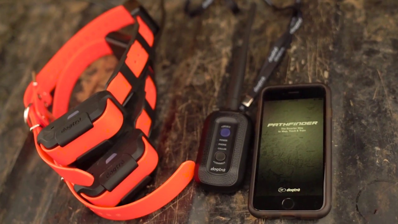 DogtraUSA.com | Pathfinder GPS E Collar – Getting Started