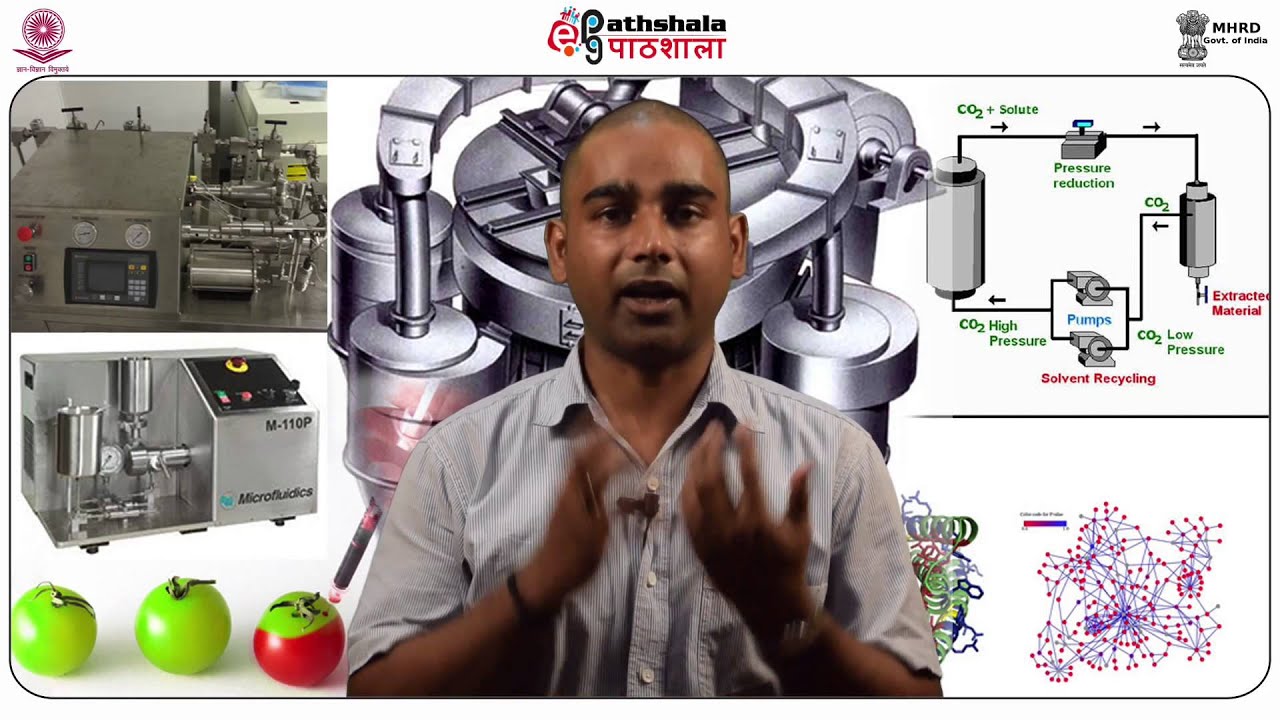 Advanced drying processes for fruits and vegetables (FT)