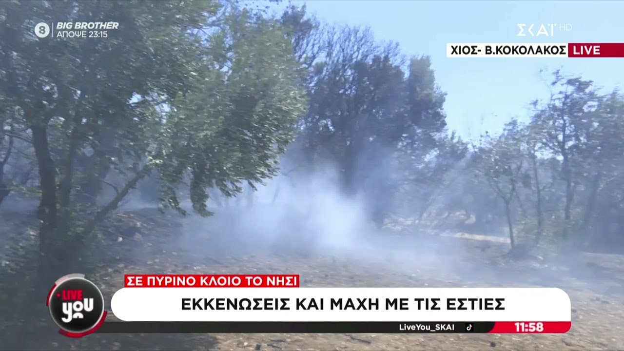 Πύρινη λαίλαπα στη Χίο:Συνεχίζεται η μάχη με τις αναζωπυρώσεις -Για σχέδιο εμπρησμών μιλούν οι αρχές