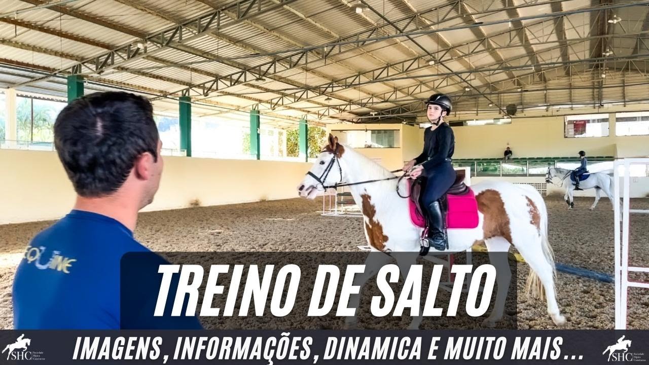 Treino de Salto - Hipismo