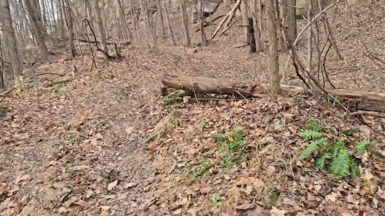 Haven's rest mountain.