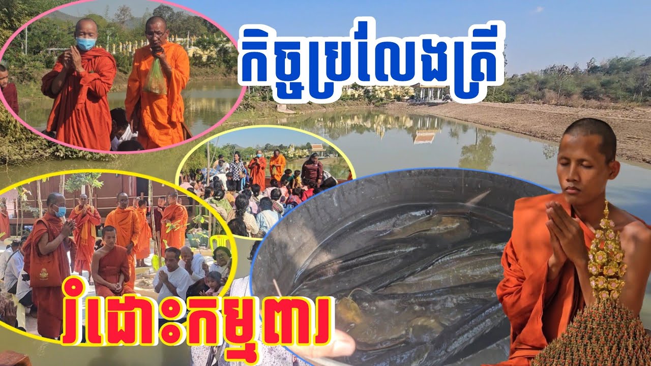 🙏ពិធីពិសេស កិច្ចប្រលែងត្រីជាច្រើន វត្តតាសុត ថ្ងៃទី 1 កុម្ភៈឆ្នាំ 26