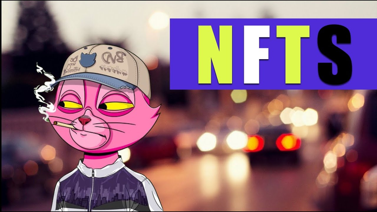 10 BEST OF THE BEST NFTs - BVDCATs