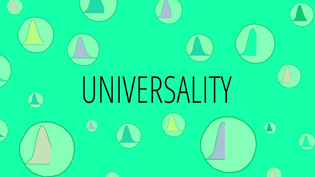 What Is Universality?