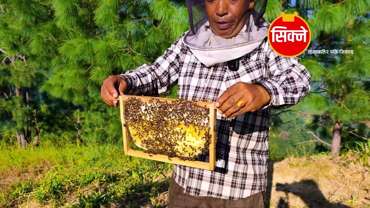 कुलबहादुरको कृषि कर्मः रानी बनाउँदै मौरी बेच्दै