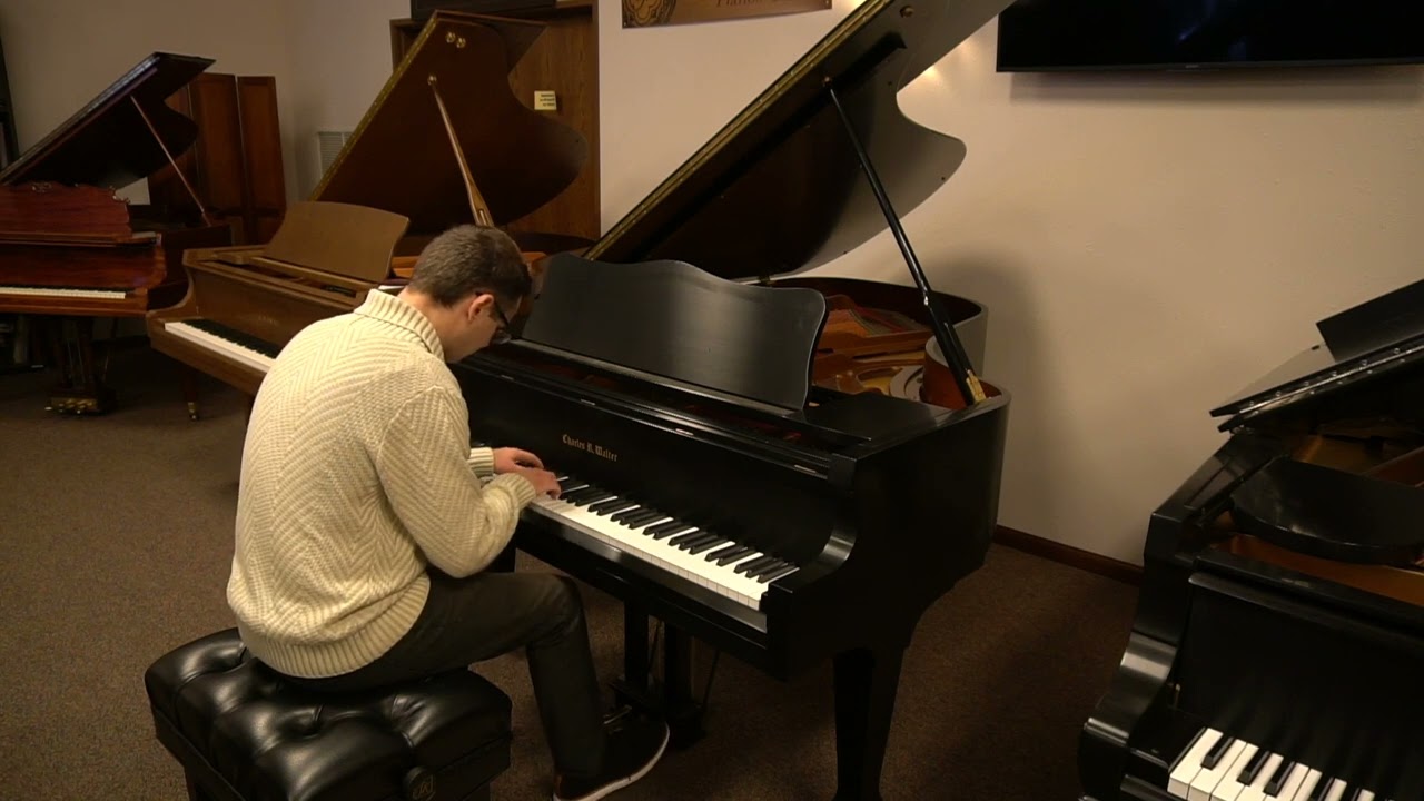 Charles Walter 1998 Ebony Satin Grand Piano - Puddles by Ryan Grippo