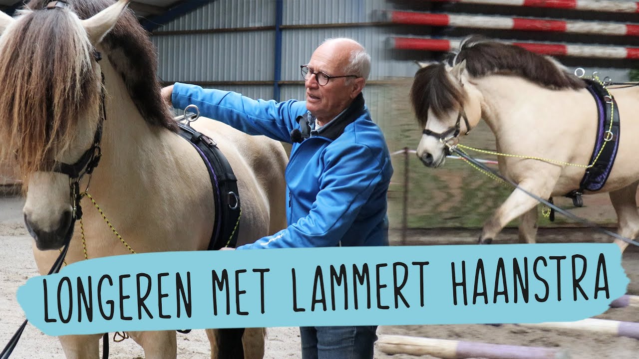 Clinic LONGEREN bij LAMMERT HAANSTRA | #61 | HorseFitShop