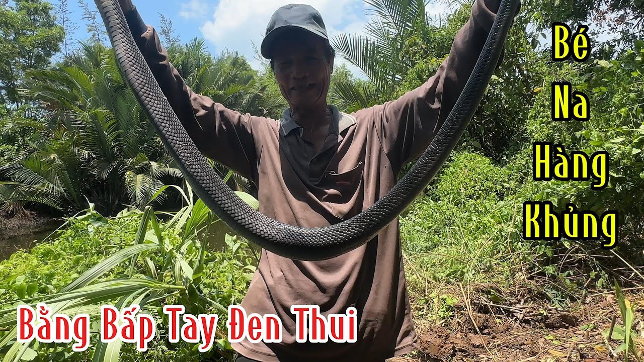 Con Hổ Đất Hàng Khủng Nó To Kinh Khủng Khiếp | Mười Thương SB