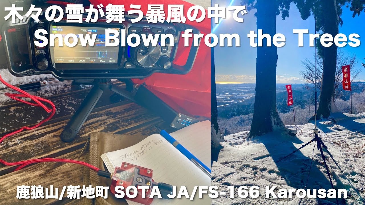 木々の雪が舞う暴風の中でQRP RHM12で運用/ FTX-1F 5W設定/ Snow Bursting from the Trees in Gale Winds / SOTA at Karousan