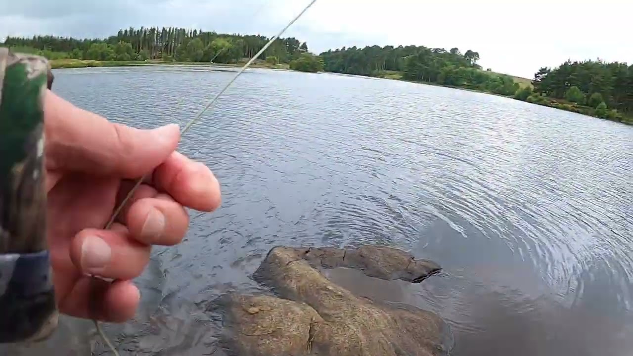 Sweethope. The evening rise with Two Novice Anglers. Look what happens.