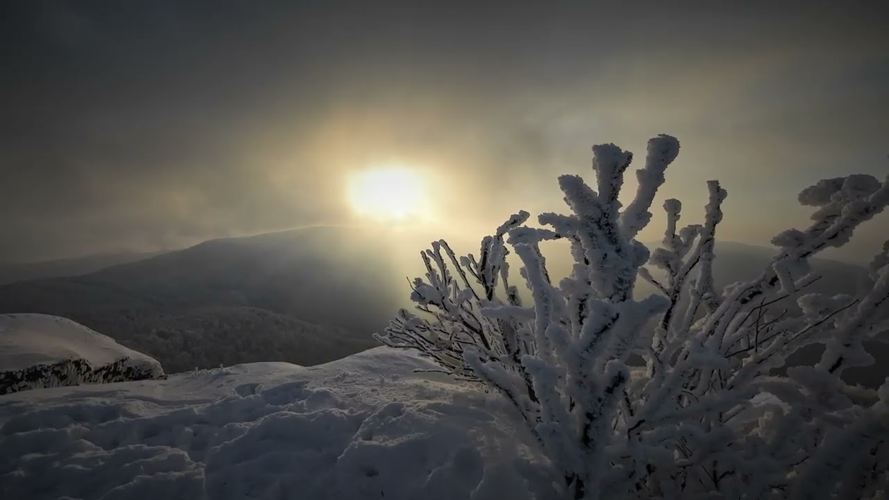 Winter snowy hike with a nice view and coffee(RDR2 themed)