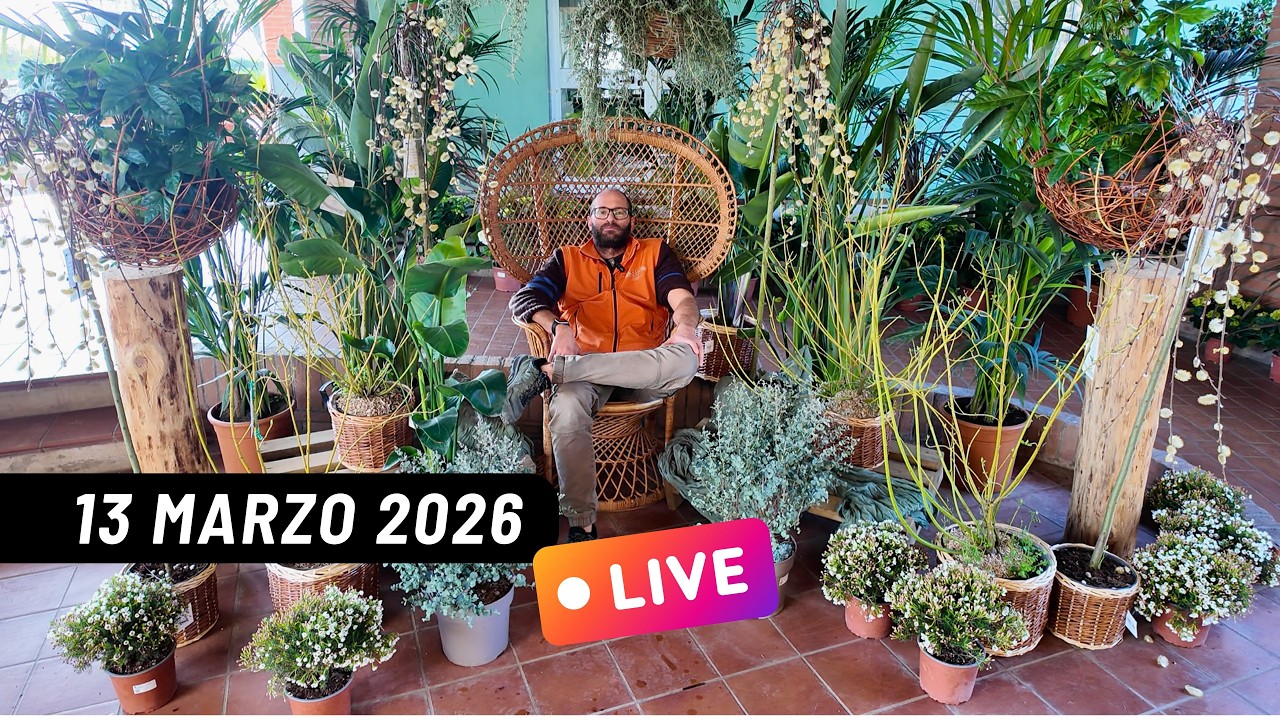 Live di venerdì 13 marzo 2026: un sacco di fioriture appena arrivate! 🌺🥰