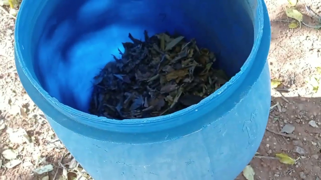 TRITURANDO HOJAS para elaborar COMPOST. Con la desbrozadora.