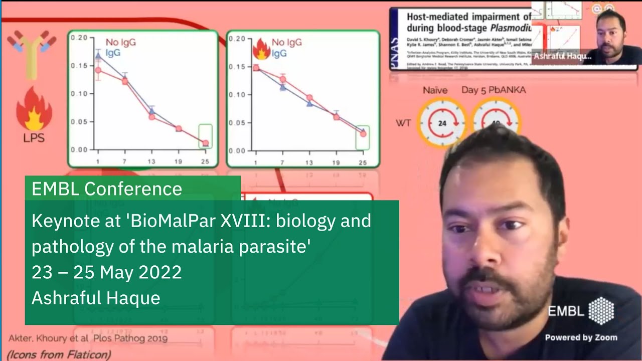Modelling blood stage malaria infection and immunity using single cell genomics
