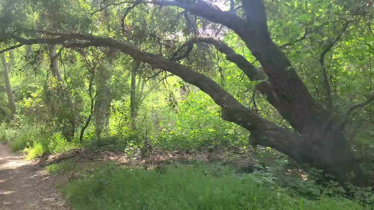 Nature, Marshall Canyon Trail