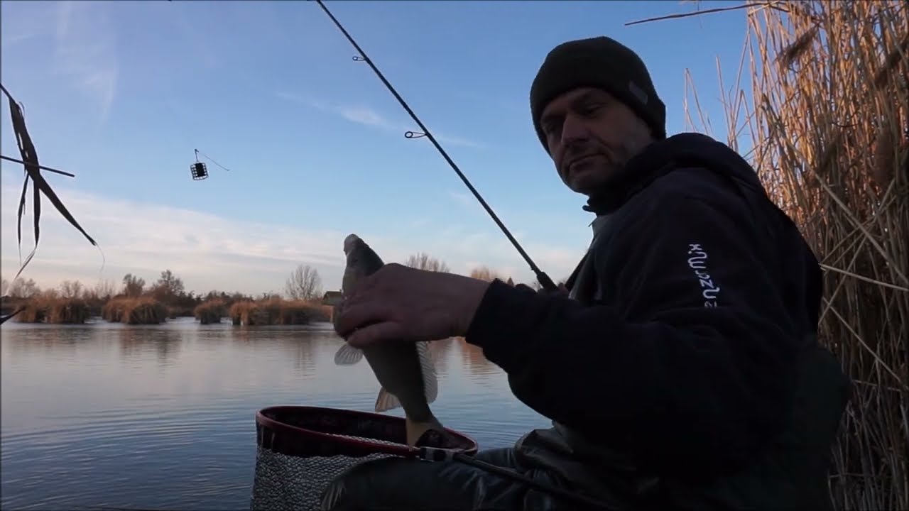 Etetőanyag és csonti februárban