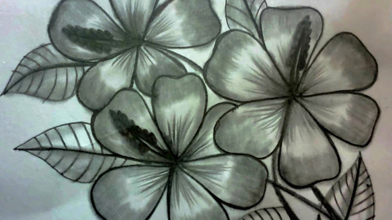 3D flowers drawing how to draw simple flowers step2