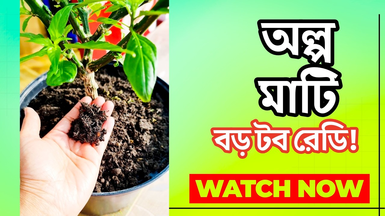 অল্প মাটি দিয়েই বড় বড় টব তৈরি! 🌱 Homemade Compost দিয়ে গাছ লাগানোর সহজ গোপন ট্রিক | Gardening Hack